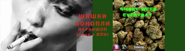 винт Вяземский