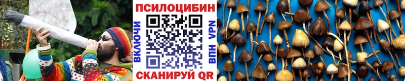 Купить где  Поворино  Галлюциногенные грибы мухоморы 