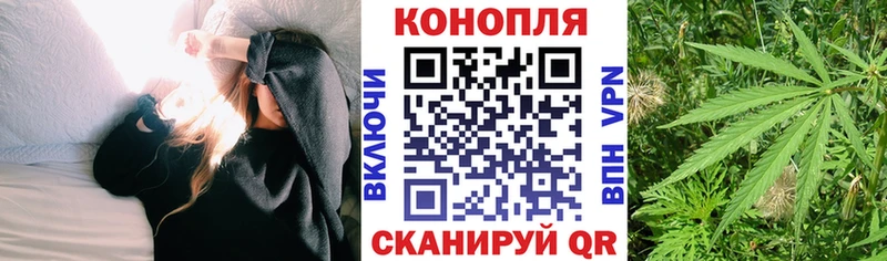 Купить где  Поворино  Марихуана ГИДРОПОН 